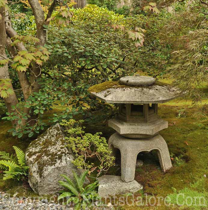 PGC-H-Statuary-Japanese-6