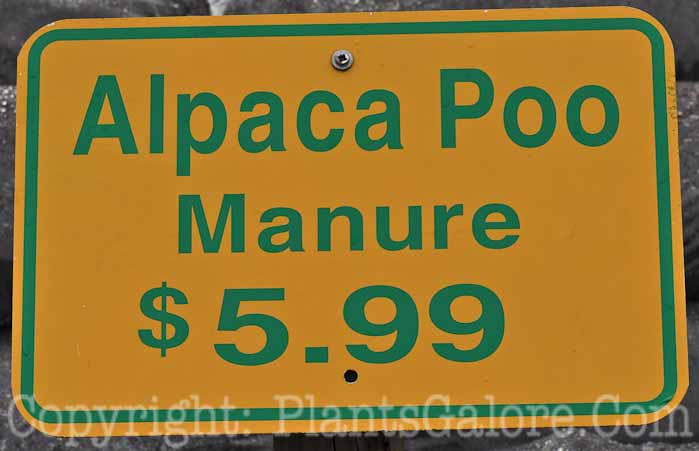 PGC-H-Statuary-Signs-115