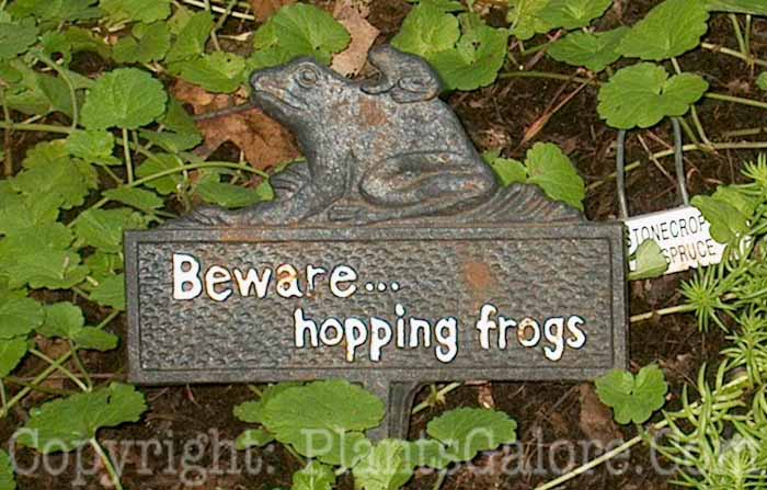 PGC-H-Statuary-Signs-54