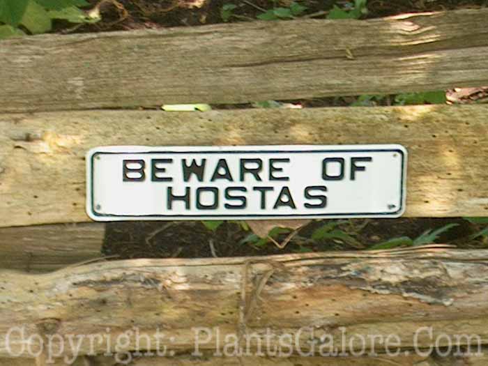 PGC-H-Statuary-Signs-56