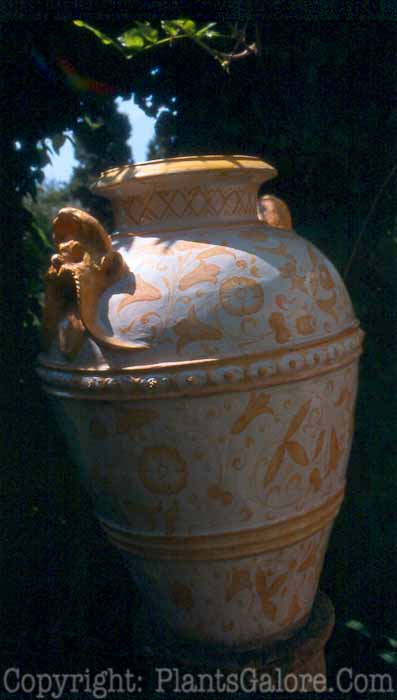 PGC-H-Statuary-Urn-23