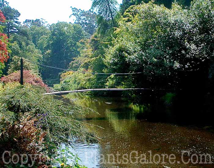 PGC-H-Structures-Bridges-6