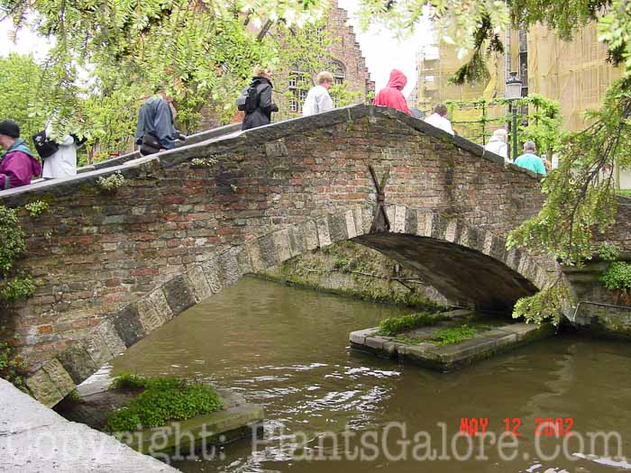 PGC-H-Structures-Bridges-9