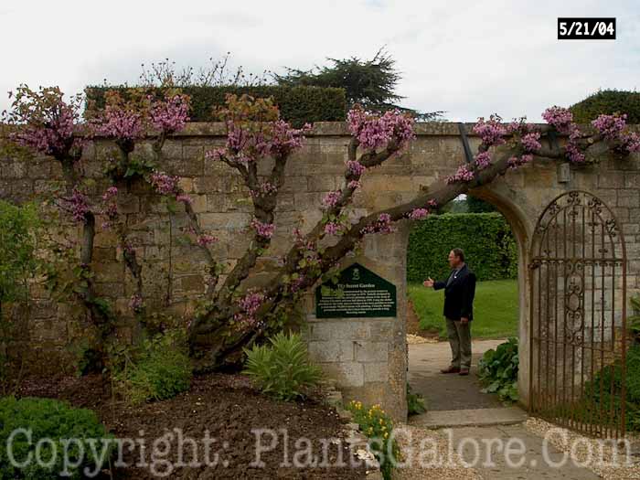 PGC-H-Structures-Doorway-14