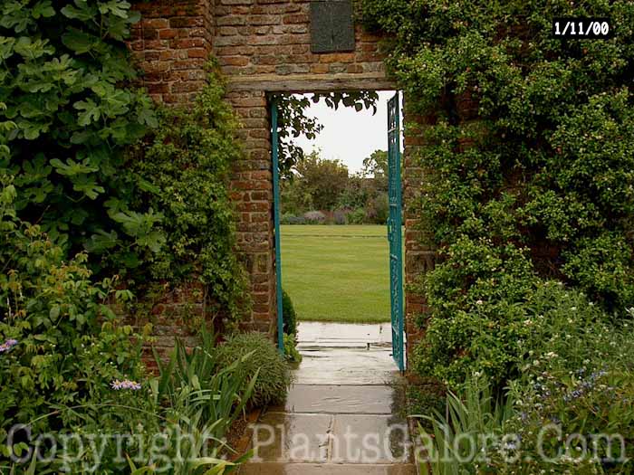 PGC-H-Structures-Doorway-2