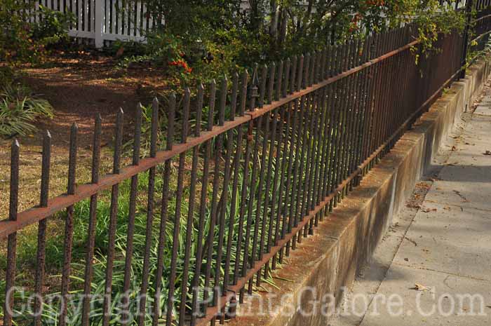 PGC-H-Structures-Fences-40