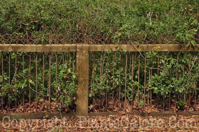 PGC-H-Structures-Fences-72