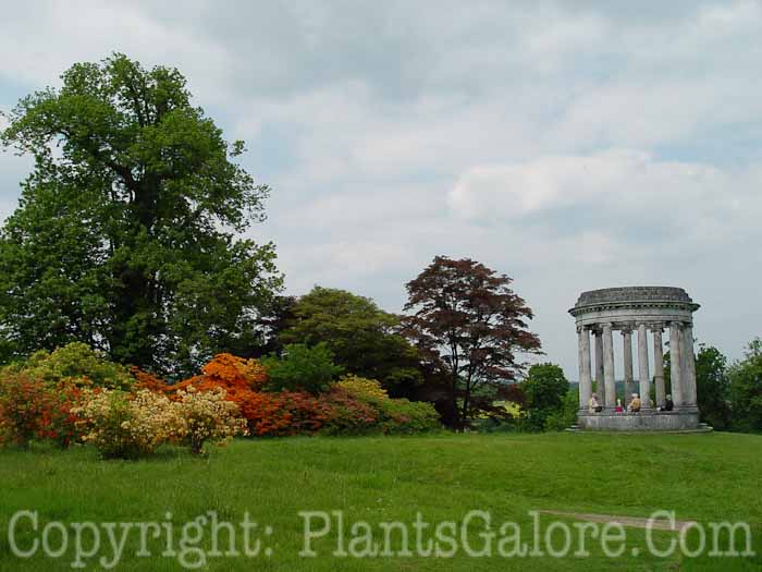 PGC-H-Structures-Gazebo-15