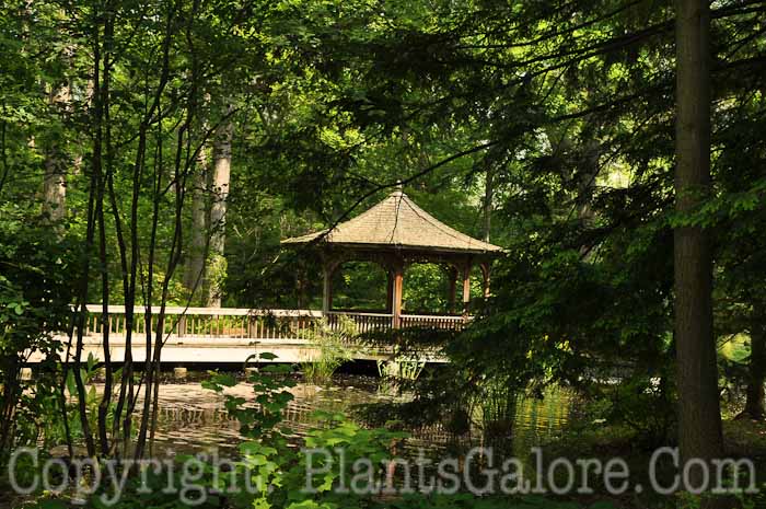 PGC-H-Structures-Gazebo-31