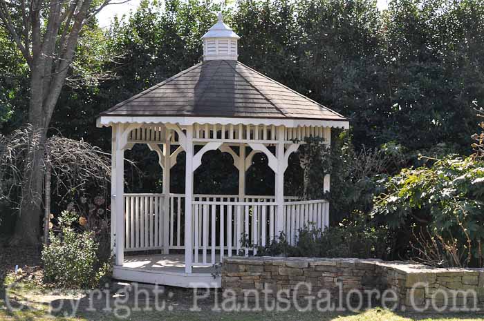 PGC-H-Structures-Gazebo-37