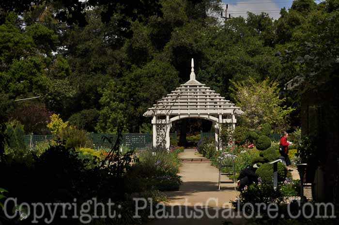 PGC-H-Structures-Gazebo-40