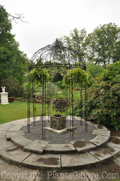 PGC-H-Structures-Gazebo-44