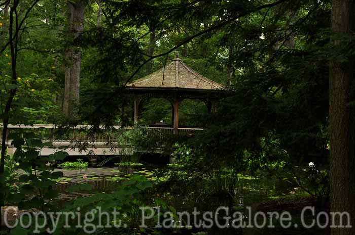 PGC-H-Structures-Gazebo-48