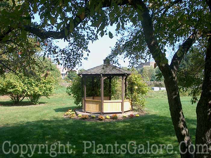 PGC-H-Structures-Gazebo-9