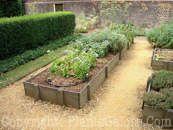 PGC-H-Structures-Raised-Beds-19