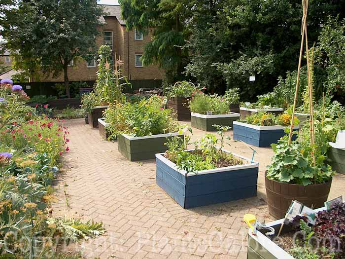 PGC-H-Structures-Raised-Beds-21