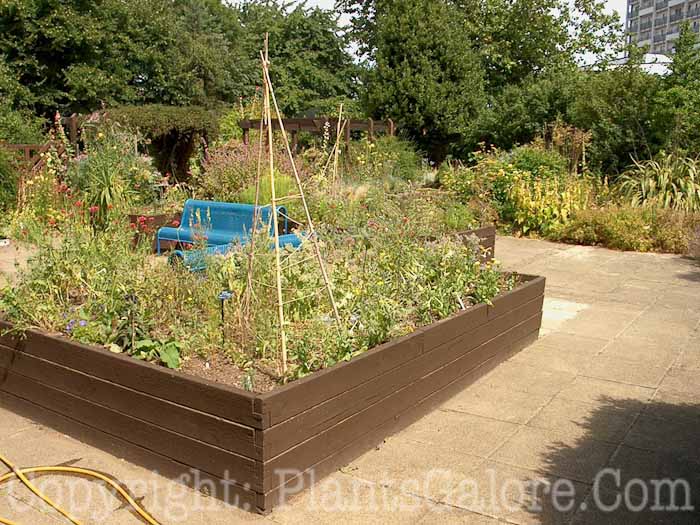 PGC-H-Structures-Raised-Beds-22