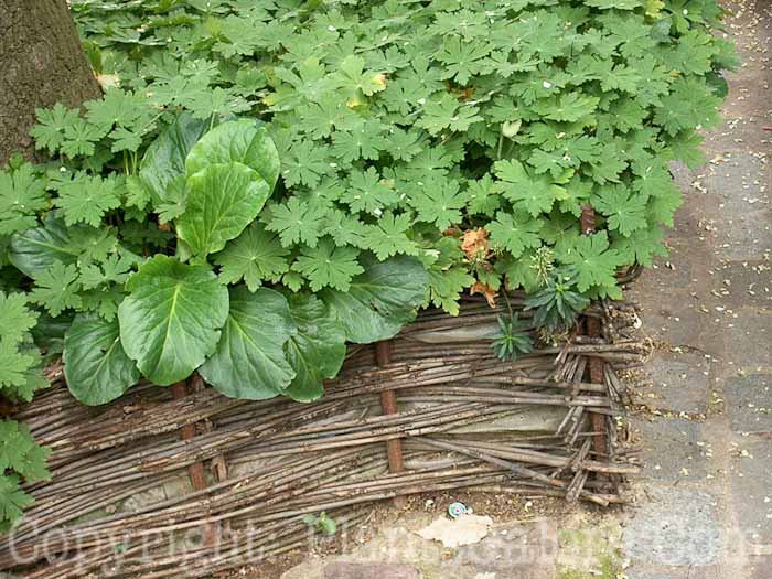 PGC-H-Structures-Raised-Beds-23