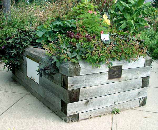 PGC-H-Structures-Raised-Beds-28