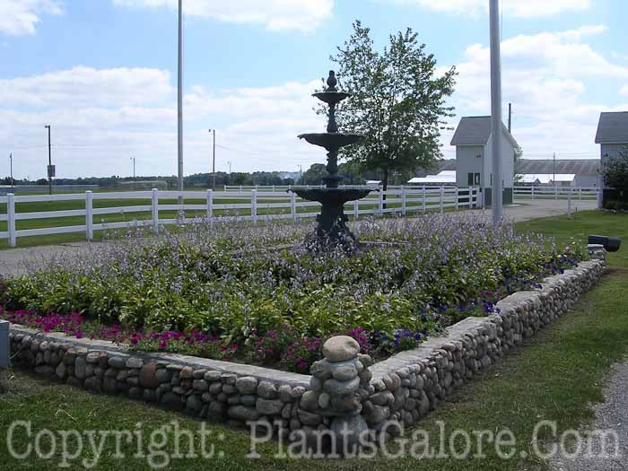 PGC-H-Structures-Raised-Beds-29