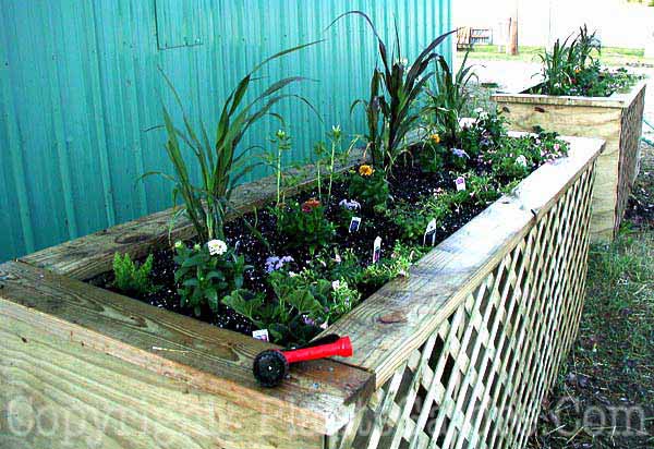 PGC-H-Structures-Raised-Beds-30