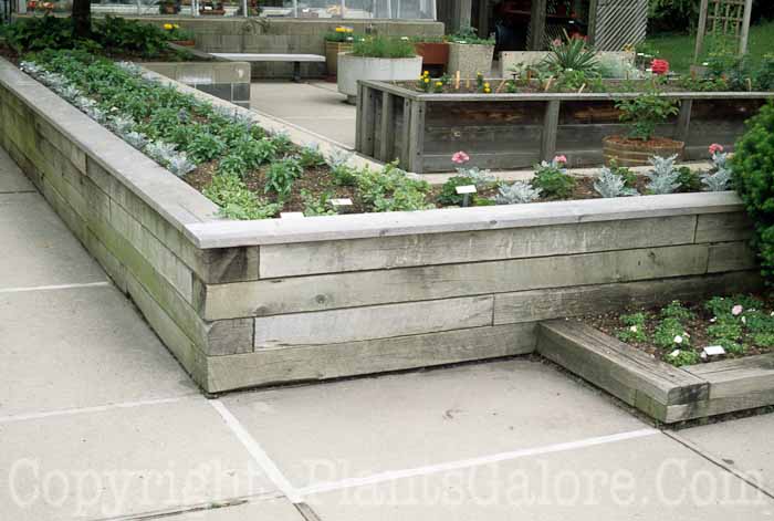 PGC-H-Structures-Raised-Beds-38