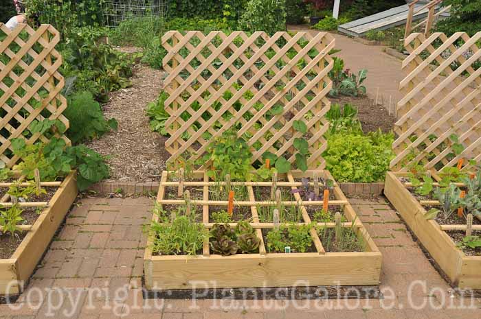 PGC-H-Structures-Raised-Beds-48