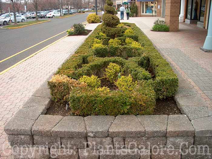 PGC-H-Structures-Raised-Beds-5