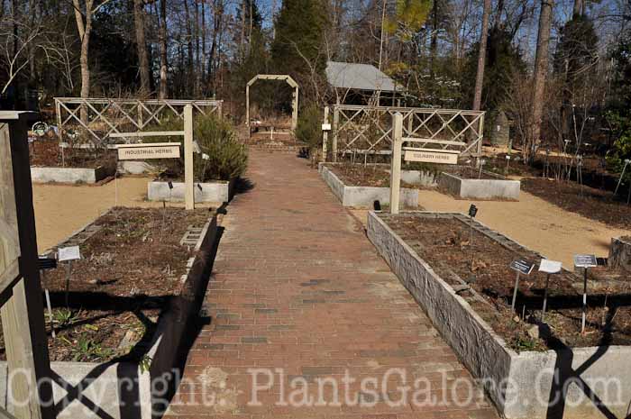 PGC-H-Structures-Raised-Beds-56