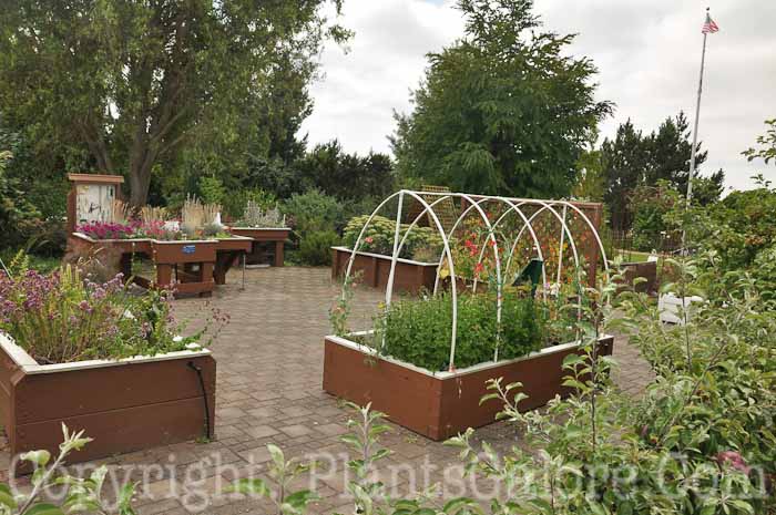 PGC-H-Structures-Raised-Beds-62