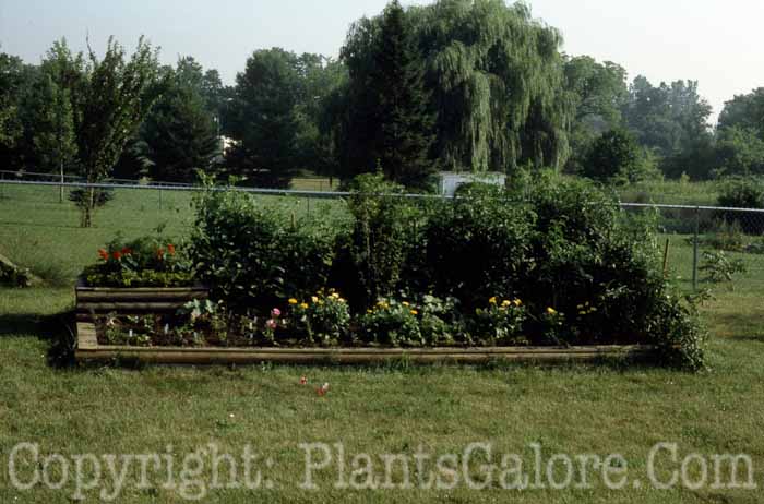 PGC-H-Structures-Raised-Beds-63