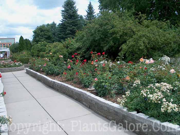 PGC-H-Structures-Raised-Beds-7