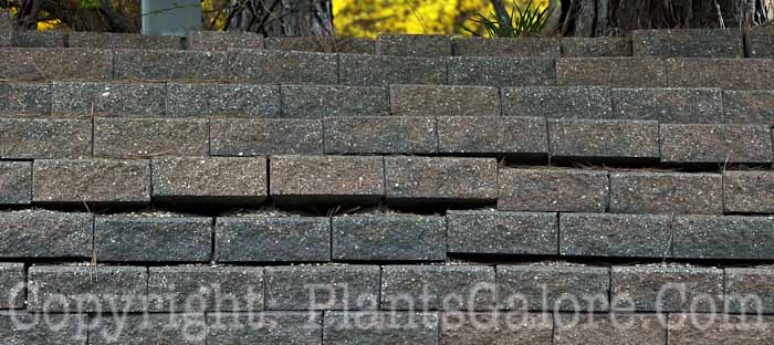 PGC-H-Structures-Walls-35